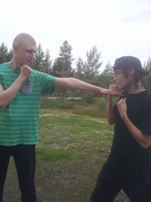 Zen Taijiquan Kung-Fu!